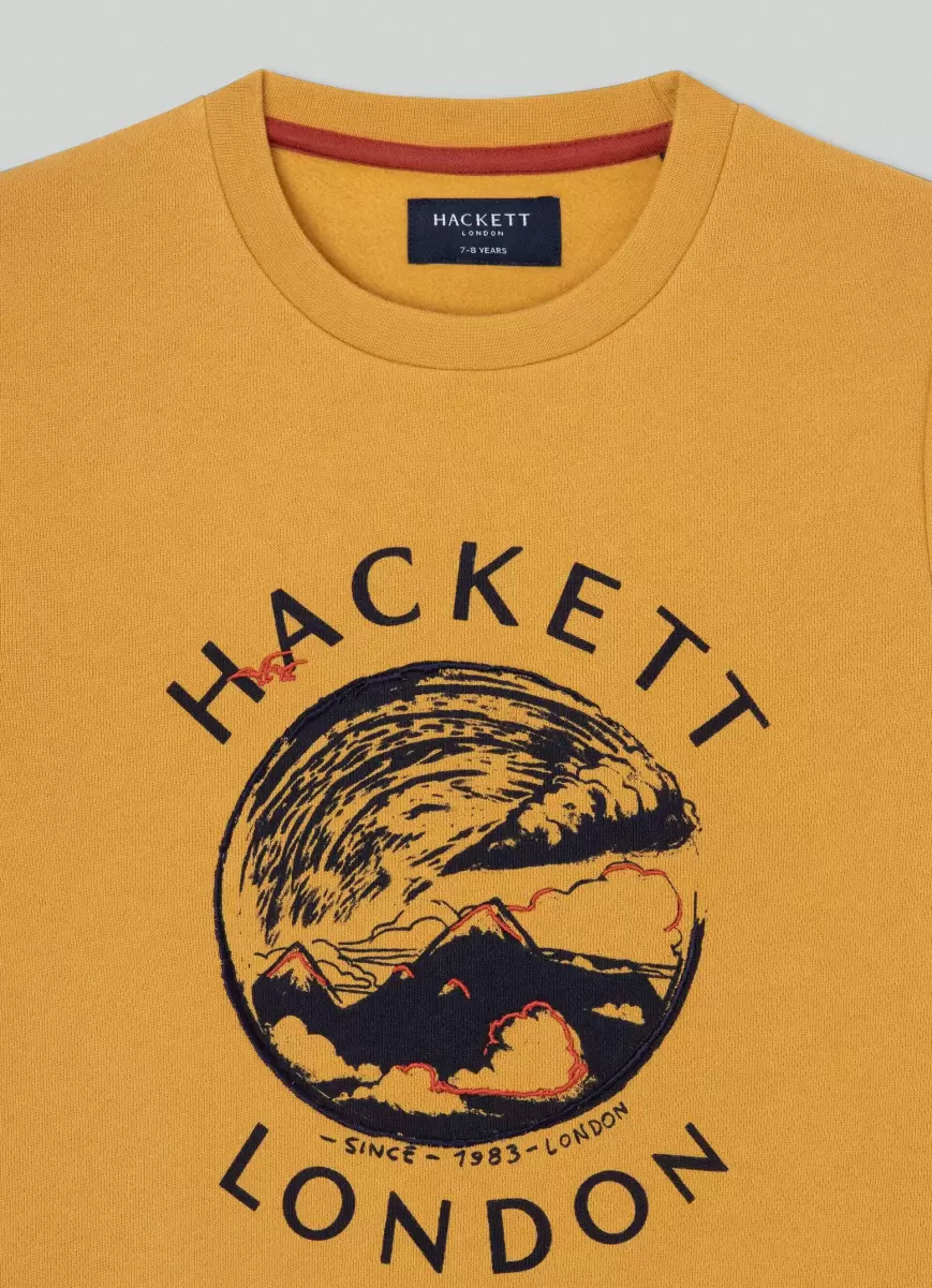 Hackett London Sudadera Con Ilustración Estampada Mustard Brown Camisetas Y Sudaderas Hombre Precio De La Actividad - 2